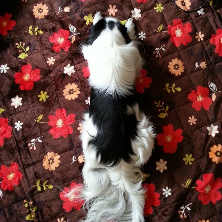 8091b168 a634 4cd8 83a7 dedf1e51adaf