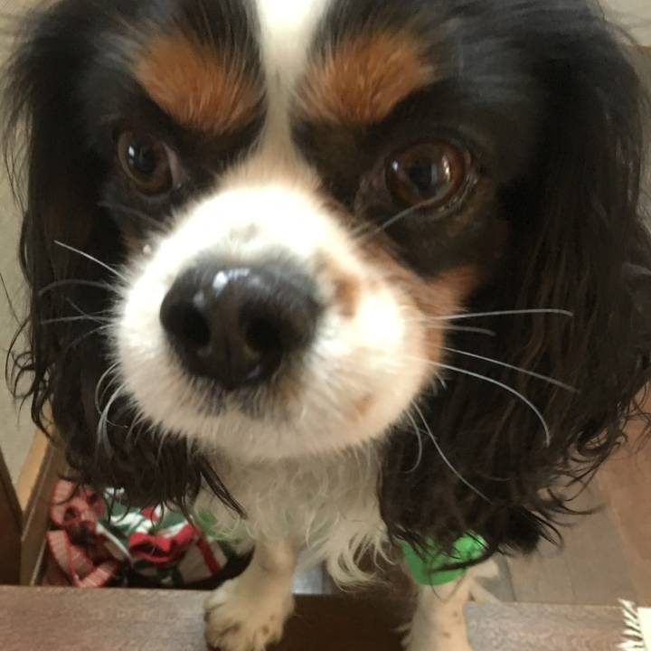 8091d377 7ea8 4296 ab6a 047168bdc4cf