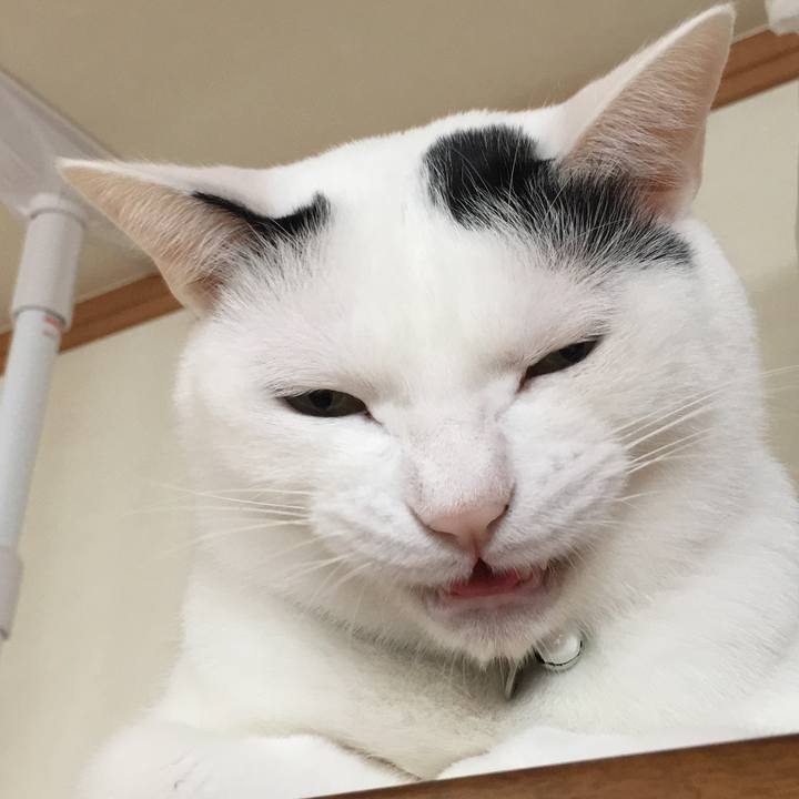 80922f87 3bd0 4333 8116 6701f6f2e2d8