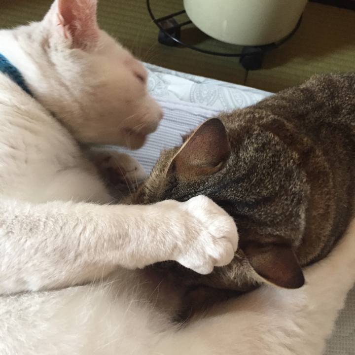 80923d52 a931 4504 b026 233268e1be30