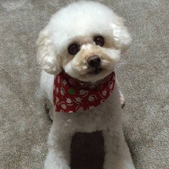 80924f05 3c44 4248 8962 53d9ead8decc