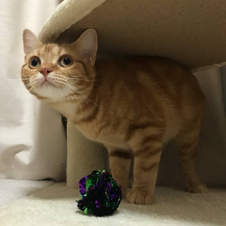 8092a8ba c251 42d2 9173 e8884d970604