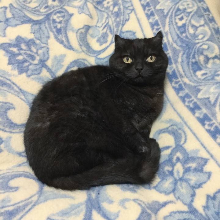 8092b468 43ce 41e7 ad6a 49d7ab7cdf1e