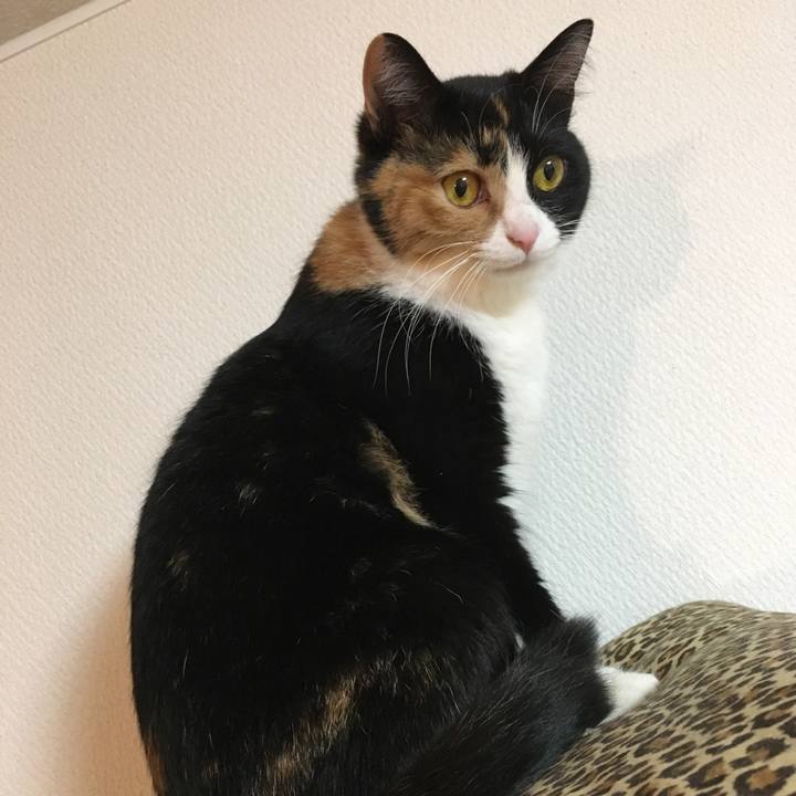 8093322d 09cf 46b1 af0f a98e74c79715