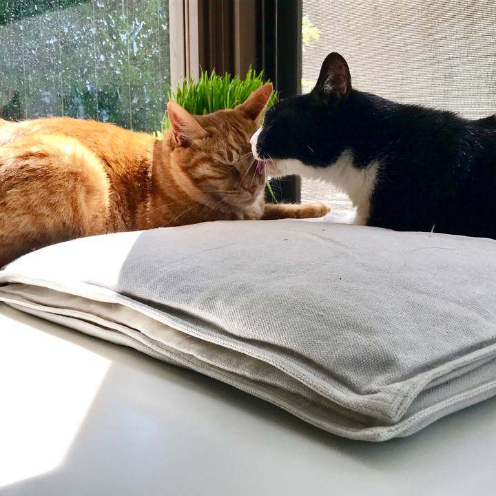 80937fd6 0225 4c28 ac6a e00777ef9ca8