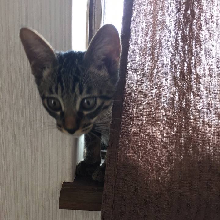 8093ca84 c9fa 495f 8dae bd954ec68343