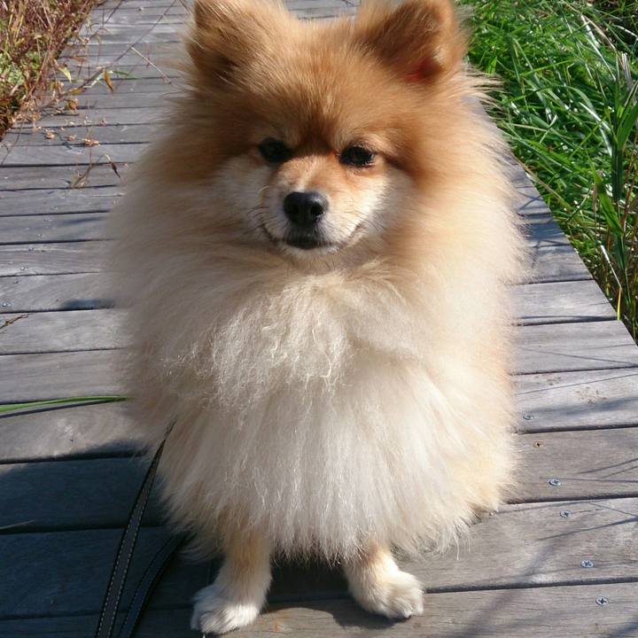 8094397b 7bcd 458b a5d2 e686b1a6e39d