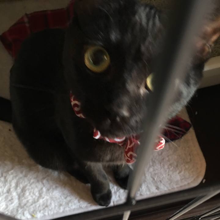 80947b72 a94b 443e 972e 886ca8405ef8