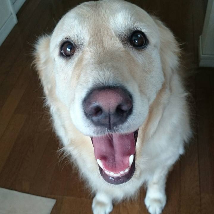 80952c60 3193 4528 a635 9e741700ab84