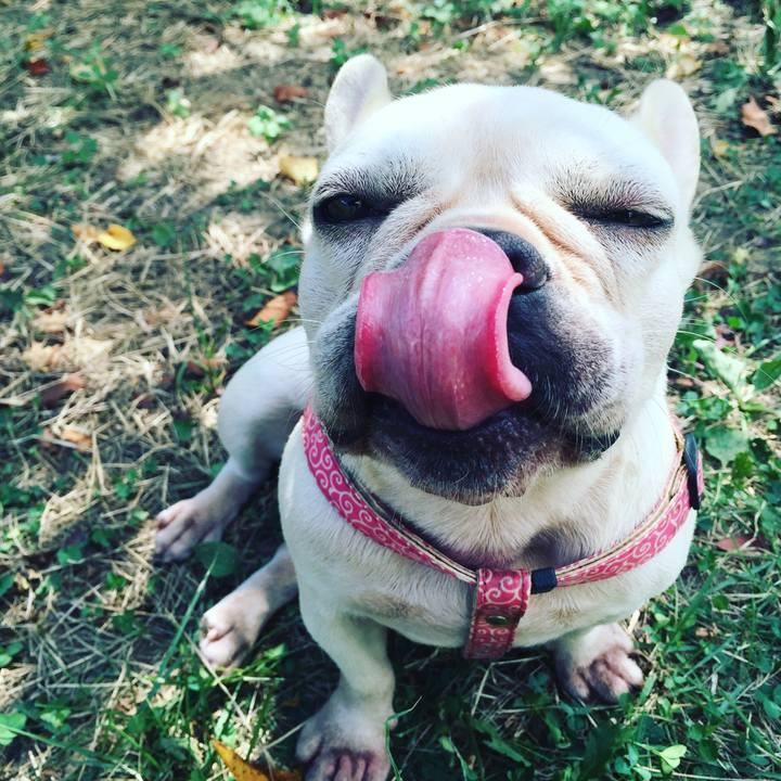 809631a7 8432 4477 8dbd 4777d56396a5