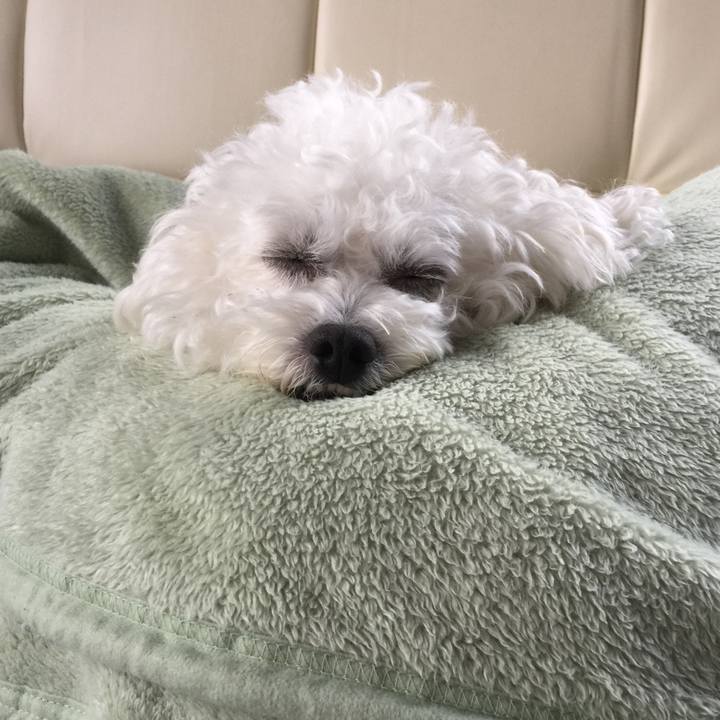 8096c82d 918f 470f b690 0116736e4230