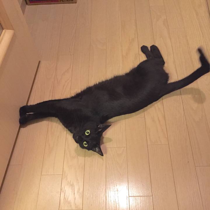 80973a0c f03f 4c01 b7a2 564e2f0717ec