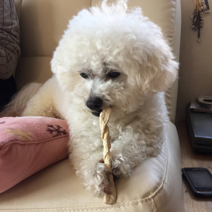 80977290 d966 4368 8000 c08474f2f260