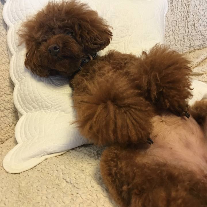 8097983a 171c 4fdd a39e 6466a5989614