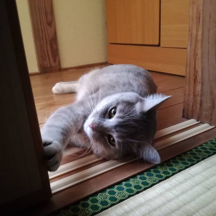 80980b51 d059 48b7 bf61 86d9e0b0334a