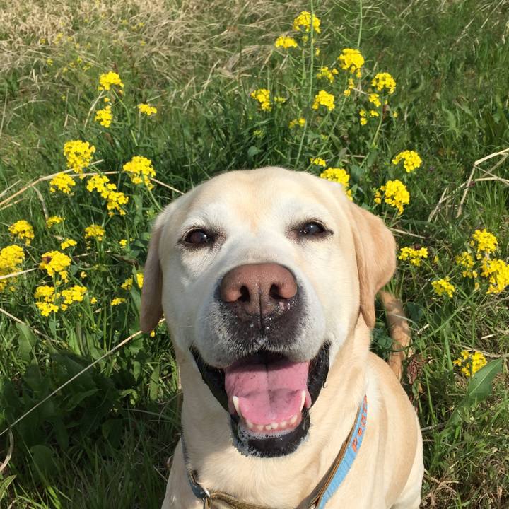 80983fe7 2724 4788 9f15 591b1eb9732a