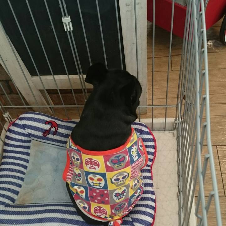 8098491e b2f1 4ba6 ba0a 9382538fbf75