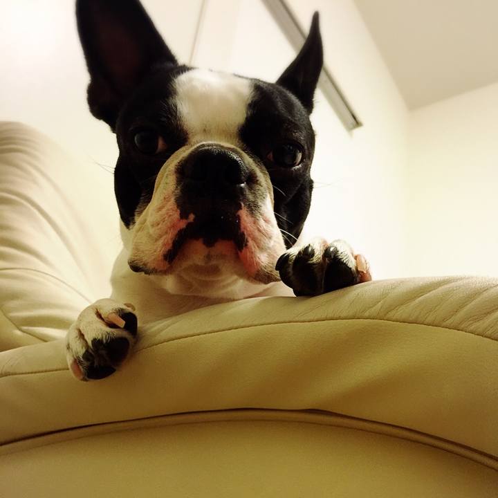 8099aaec 6811 4de0 b75b 0fddd9303d28