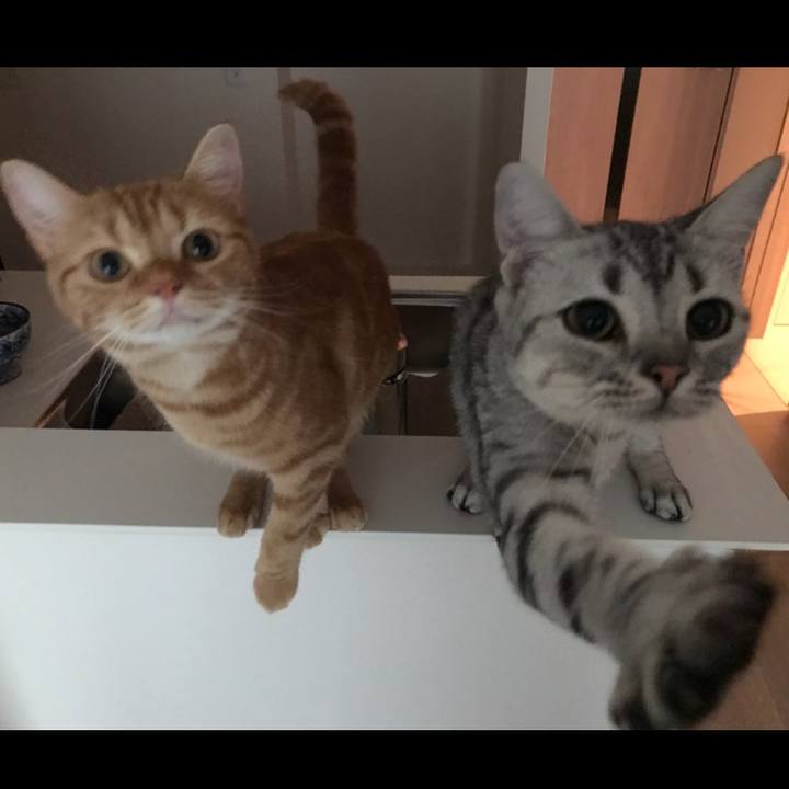 8099aca1 14c3 4005 967b d1f02b24f823