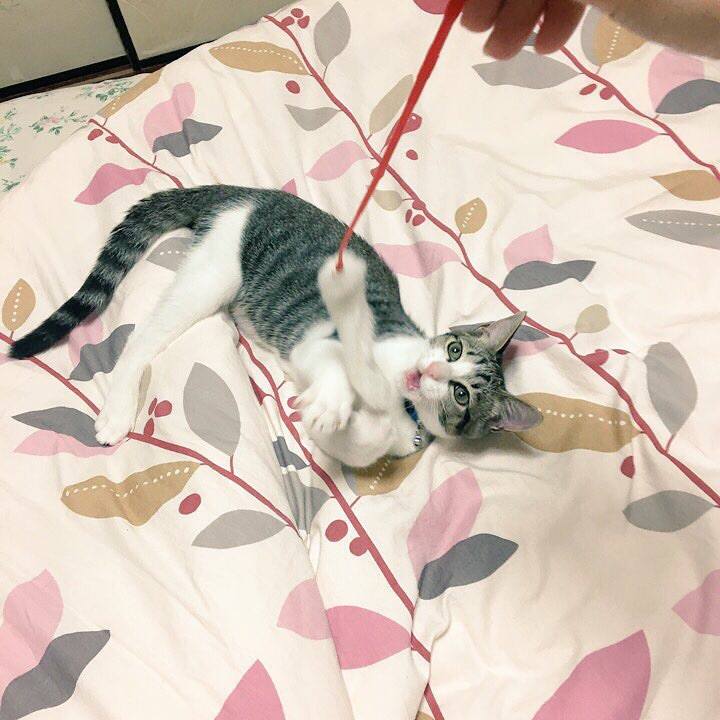 8099da5f 1260 4a2a ab70 04a1ed10d97b