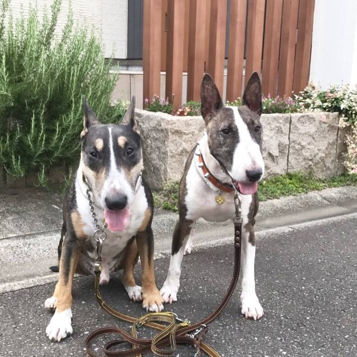 8099dba4 722b 46a2 af95 e1afc7a5dfb1