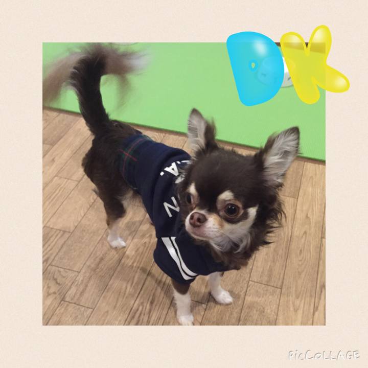 8099e7f7 f6ee 4d38 bd91 598f8eeb1ed6