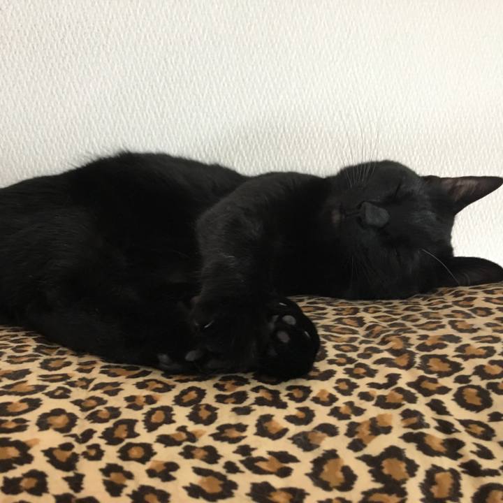 809a028f 3027 4095 9ef1 75561eaa2efa