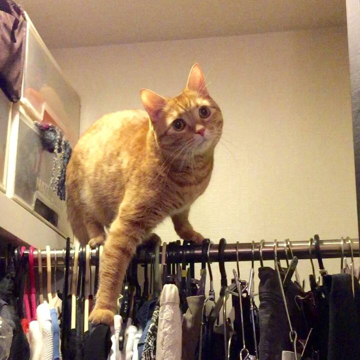 809a1932 fcf4 4852 98aa 37d86640fa51