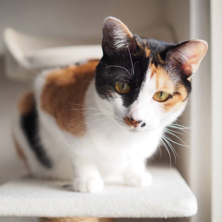 809ab3b5 4a47 4796 a042 5db58665625c