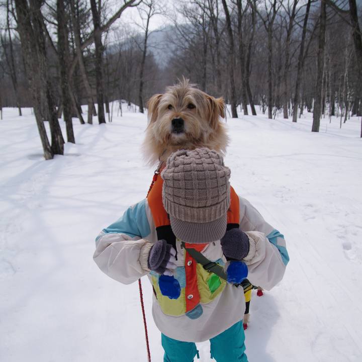 809b06db afaa 4deb 975e 41e8e3f9fb4d