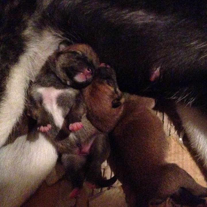 809b65df 22d7 4eb0 9bfa 798fbe1c3636