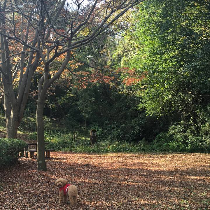 809b7097 6cfe 4fd1 8d12 abcf1cfcaed7