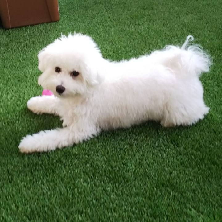 809b7325 df69 4257 8010 a86ab404bf04