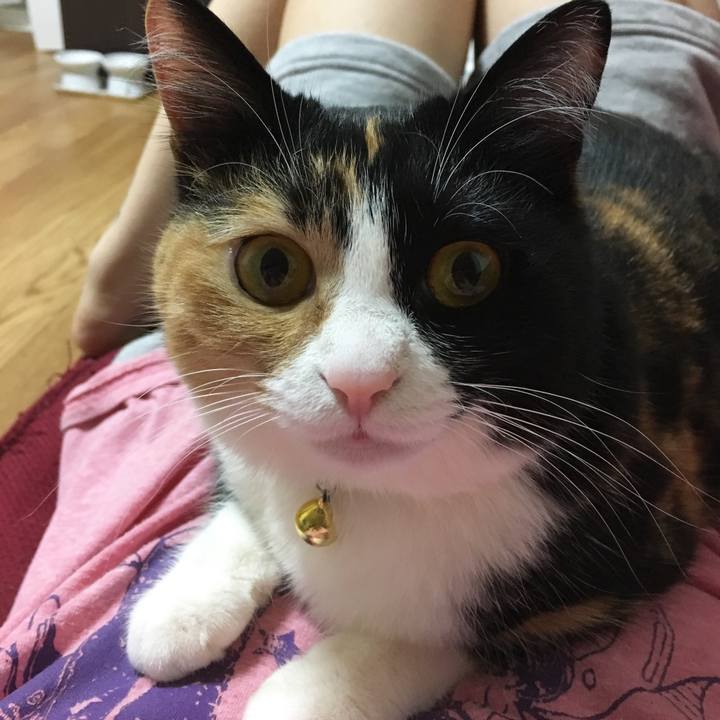 809bce0d 2528 4c4d 84ea 0b43cce5bbac