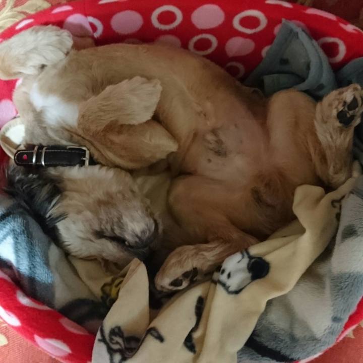 809bd793 dc69 4002 b977 60783ff2b453