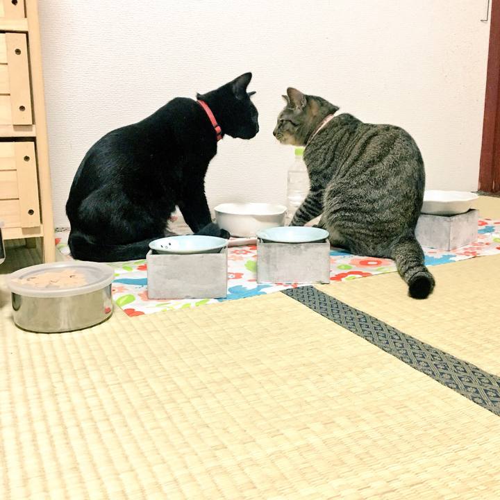 809c4758 fb10 4b96 8142 f7b5e87c0def