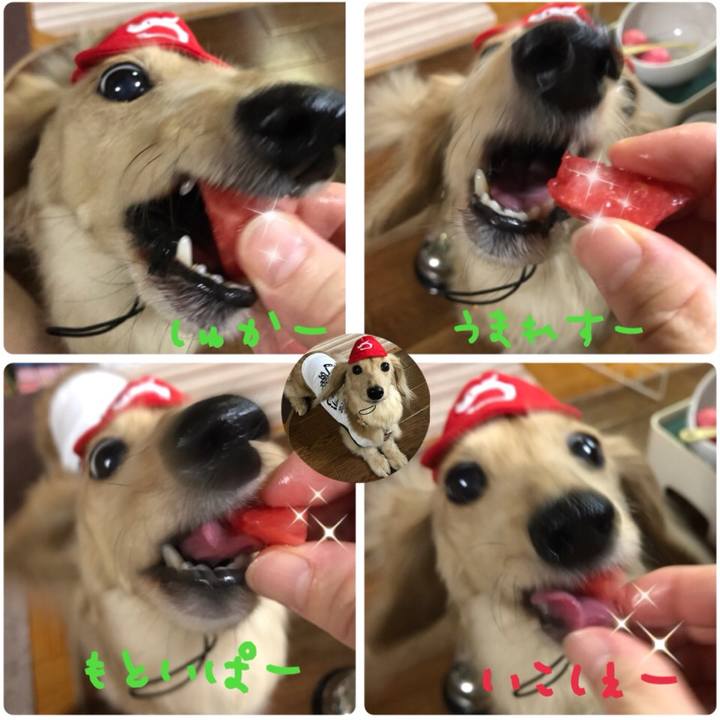 809c7cd6 9091 424c bdfa 51582c97cf15