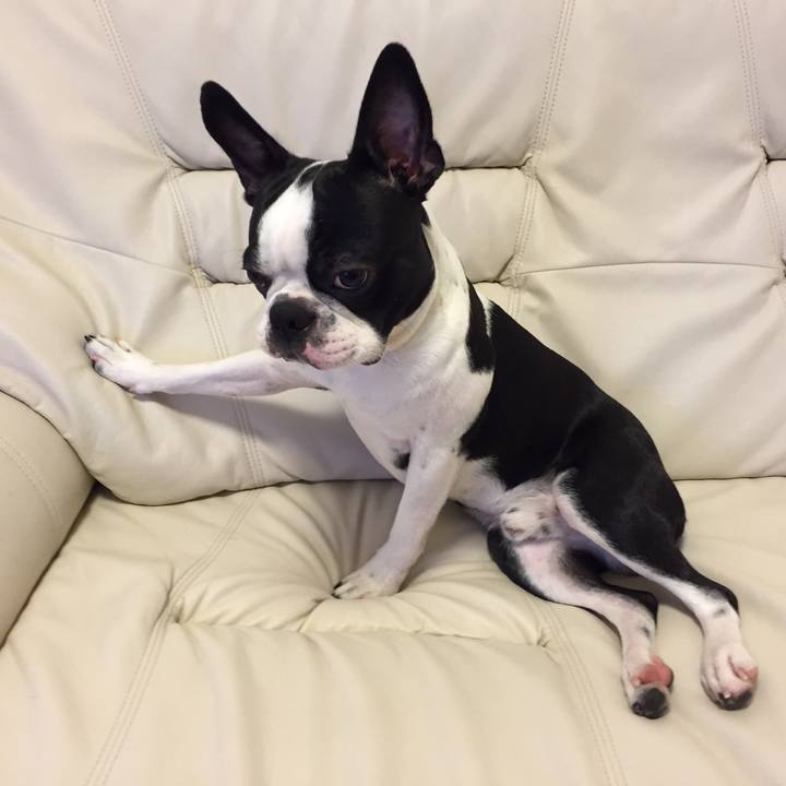 809c93ce 927e 4284 82e1 7d3106c7fc58