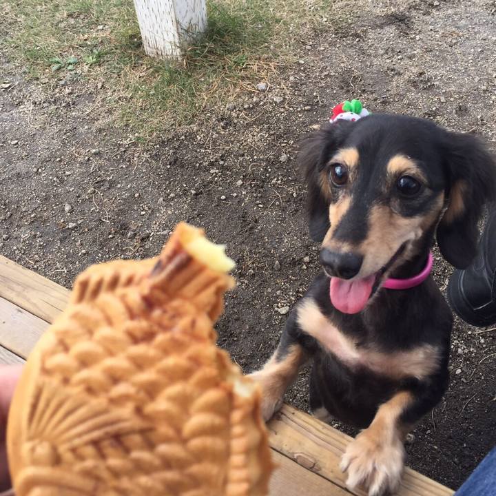 809d53ac 043d 4e0f 9978 6c83acf7f863