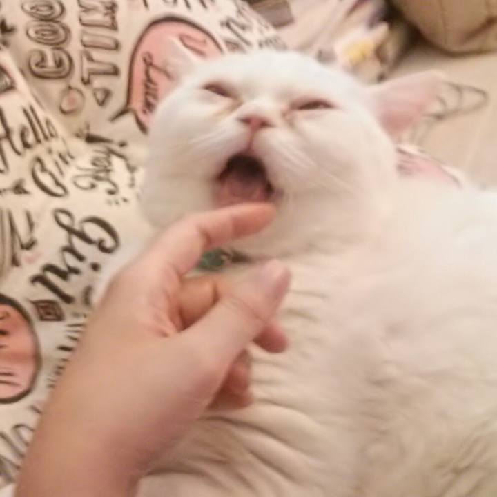 809d671b b798 4896 b161 2e97da7618e3