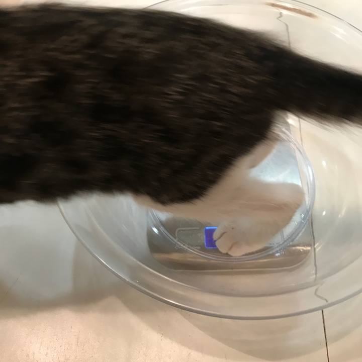 809d8e82 85c1 4cd0 8ac4 2039a6638553