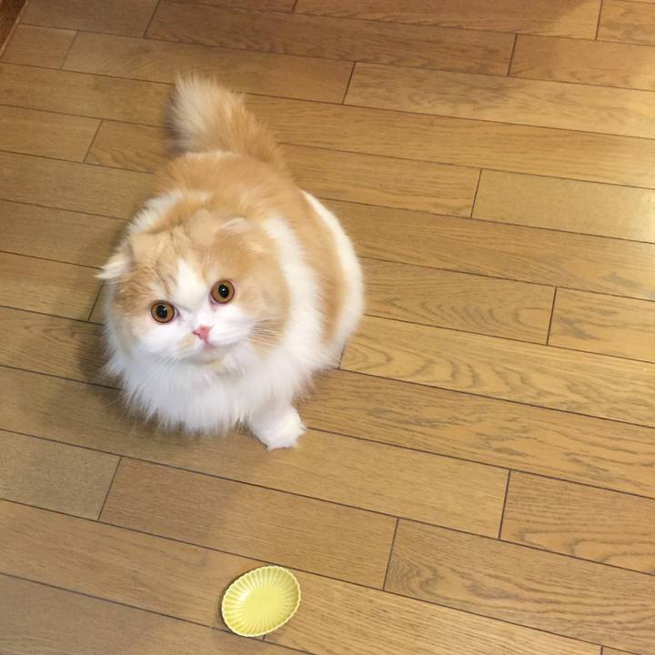 809e700f 5645 43f3 a239 309f97d31470