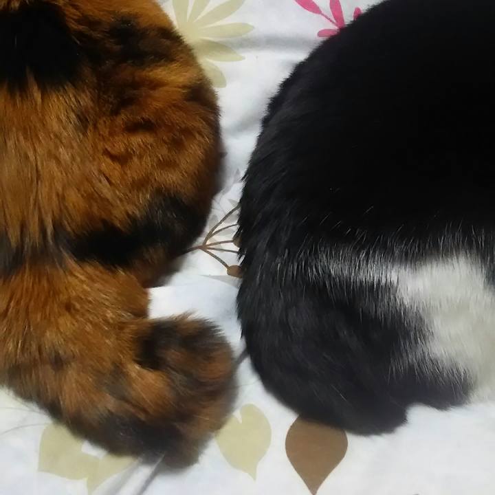 809f26ed b30d 4c9d 8be0 3b18f394ba97