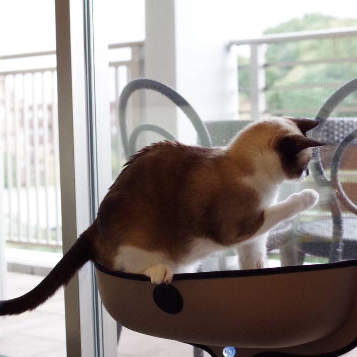 809f3d42 91c5 44ef 87a5 dc775f98e79b