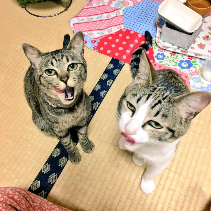 809f62e7 7c2c 4884 b79d ed73600d637b