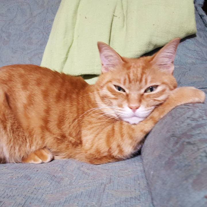 809f9879 6e44 4a46 a554 995fb5a6ab50