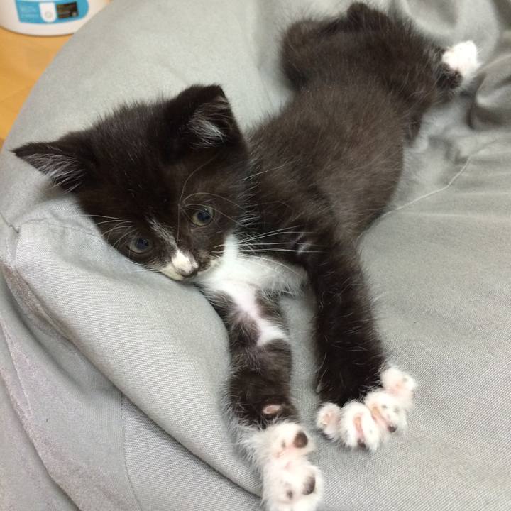 809fc408 a9ee 4ca9 83e4 bcc309525553