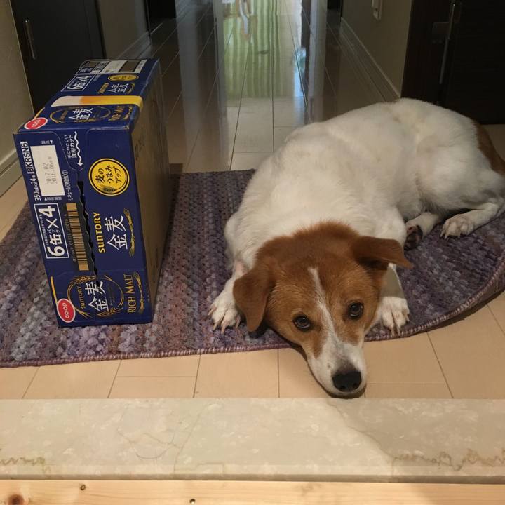 809ffa74 53b7 4f96 b55c 0063eeb1989f