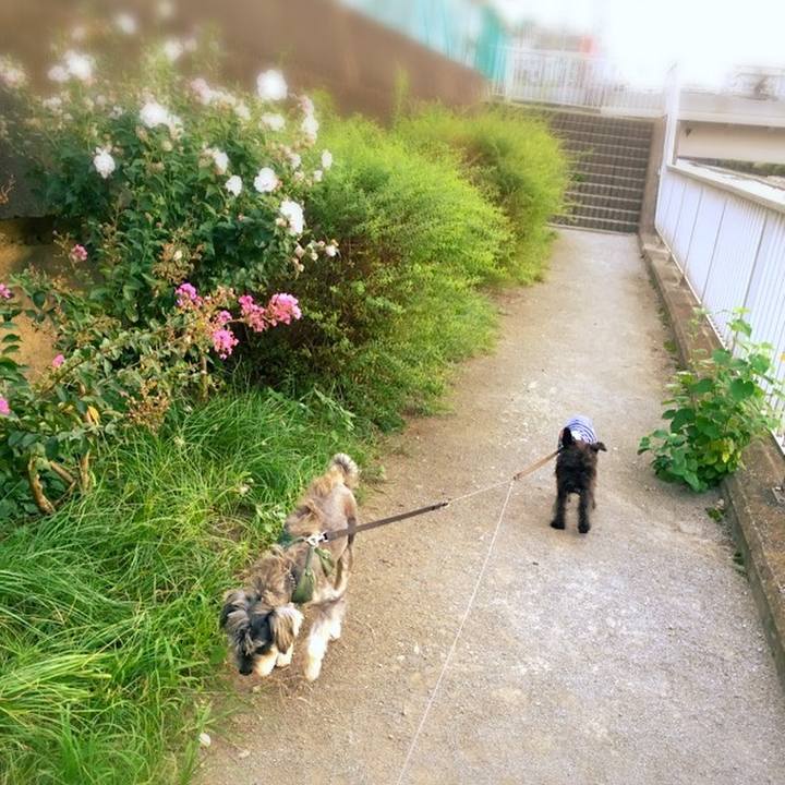 80a03929 bbf6 4070 b048 aa924d122029