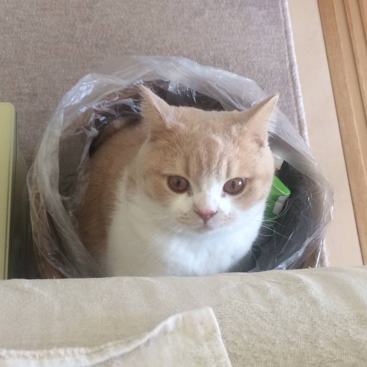 80a051b6 d265 4def a08a 9975b5566047